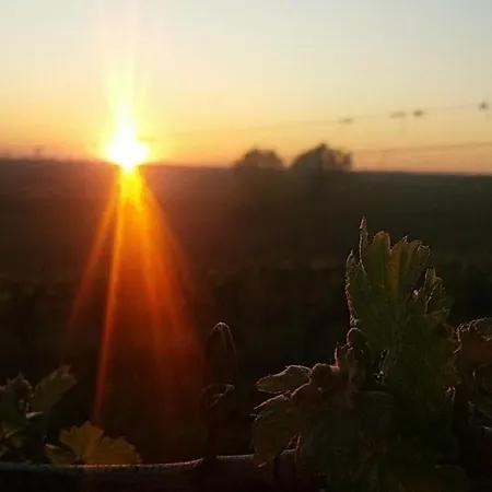 Casa vacanze Maison De Campagne Fourcès