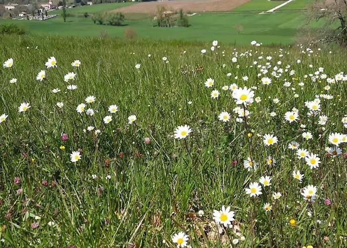 Maison De Campagne Holiday home *