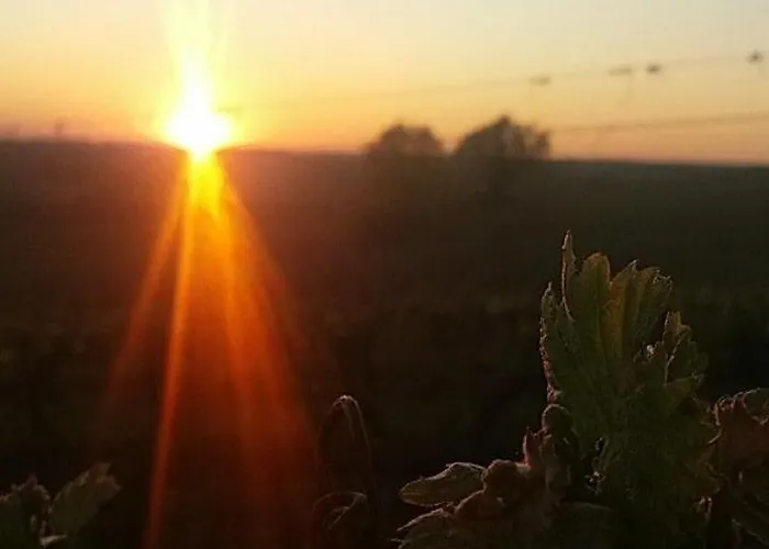 Holiday home Maison De Campagne Fources